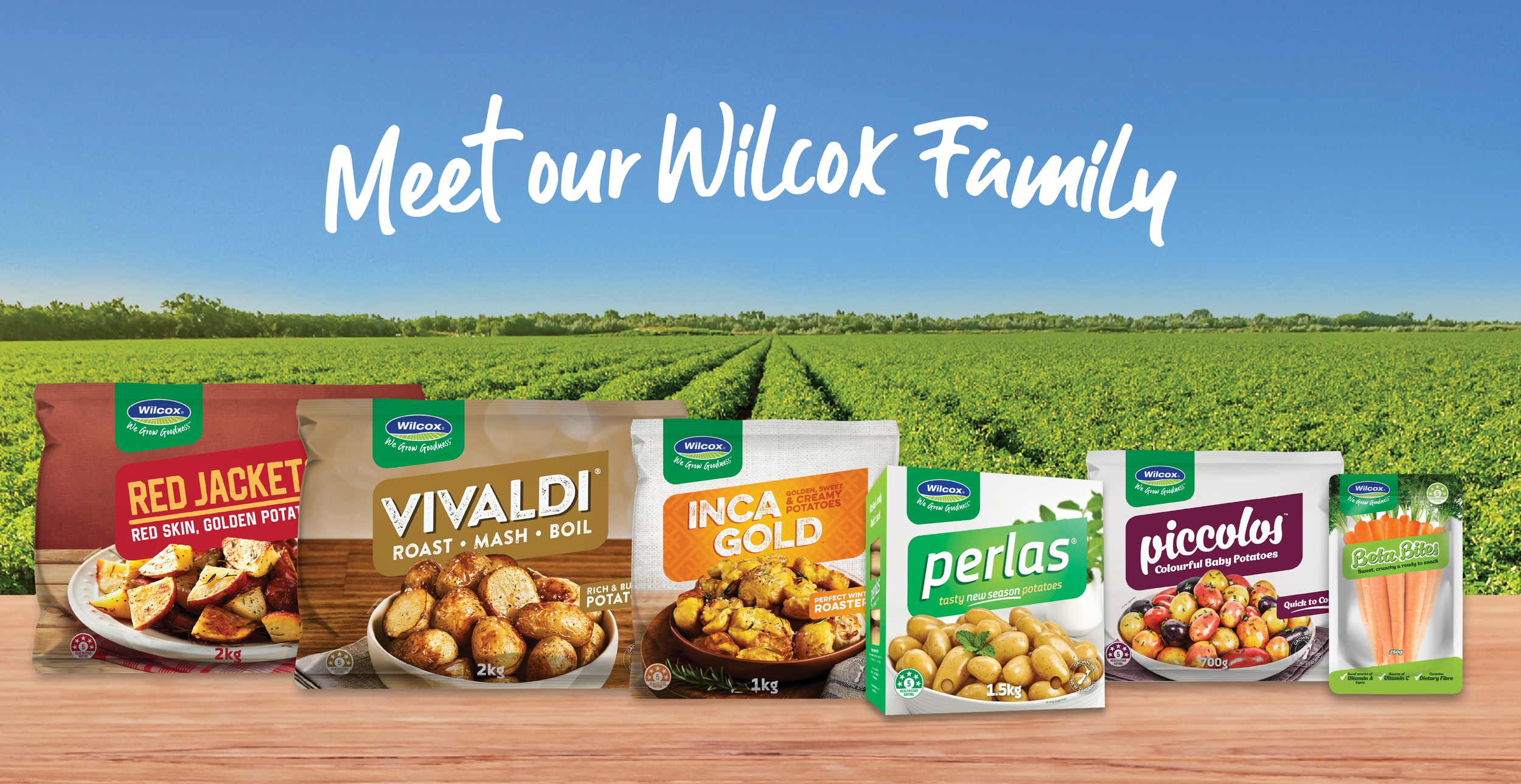 Meet our Wilcox Family